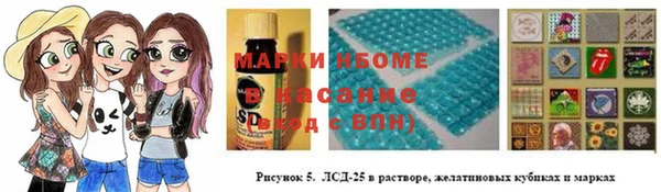 соль ск Надым