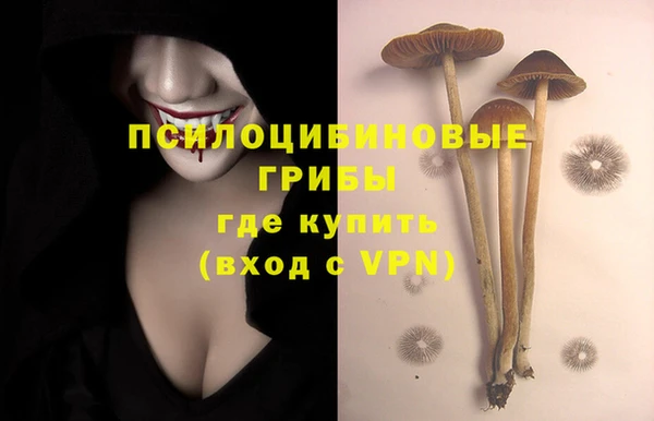 крисы Новокубанск