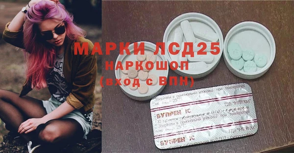 прущие крисы Новозыбков