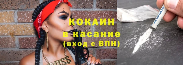 прущие крисы Новозыбков