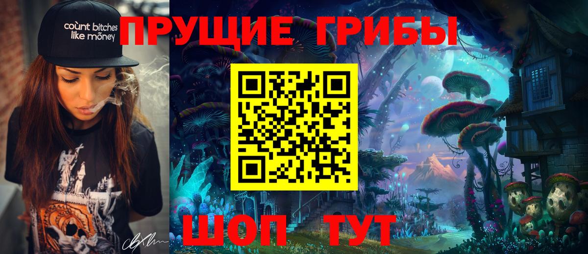Галлюциногенные грибы Psilocybe Кашира