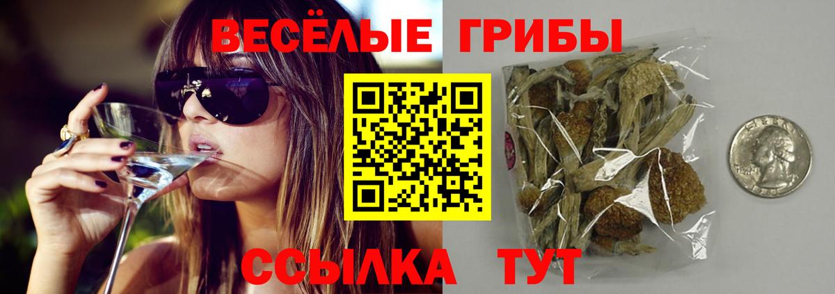 Кашира  Псилоцибиновые грибы прущие грибы  Вход с VPN  Псилоцибиновые грибы Psilocybine cubensis 