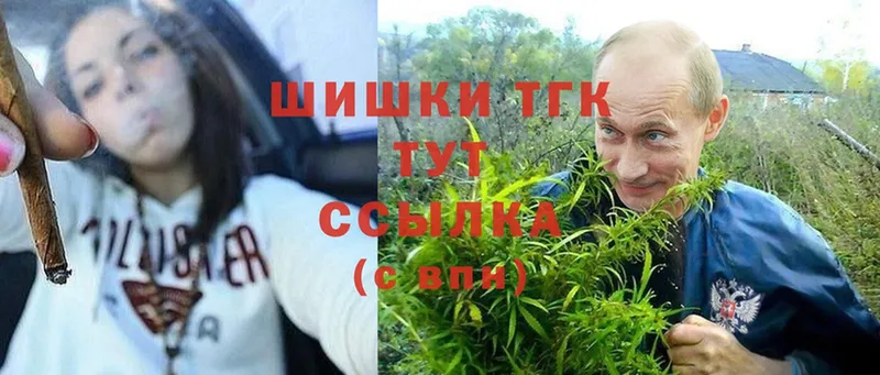 Конопля OG Kush  продажа наркотиков  Кашира 